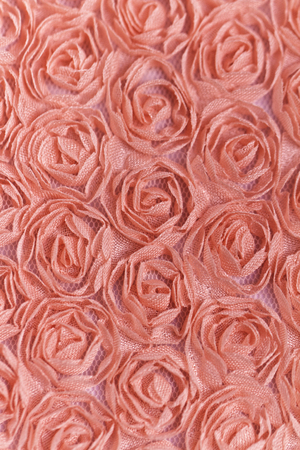 Peach-colored roses materialの写真素材