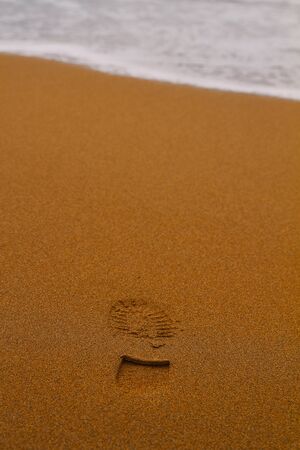 Summer sandy beach with footprintの写真素材