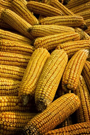 corn