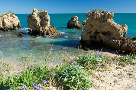 Praia dos Arrifes. Springtime blooming.の写真素材