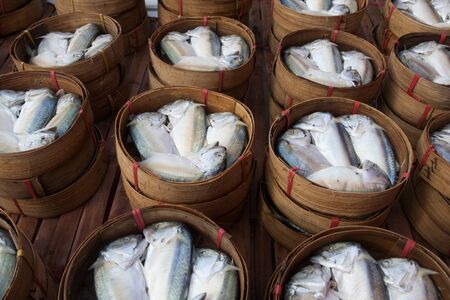 Fresh mackerel sold in marketの写真素材