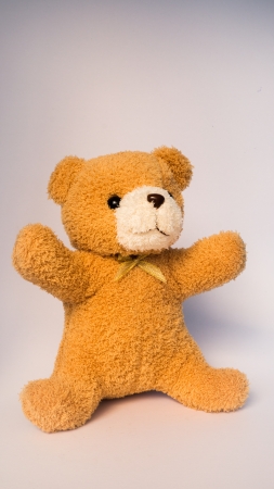 brown baer doll with isolated on whiteの写真素材