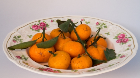 mini orange from china on plate with isolated on whiteの写真素材