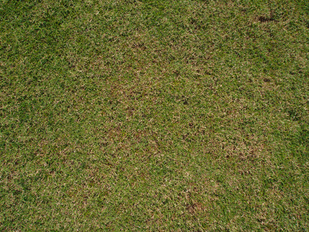 Green football field grassの写真素材
