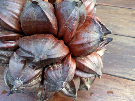 Nypa palm seed, Nypa, Atap palm, Nipa palm, Mangrove palm, Nypa fruticans Wurmb on wood tableの写真素材