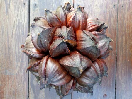Nypa palm seed, Nypa, Atap palm, Nipa palm, Mangrove palm, Nypa fruticans Wurmb on wood tableの写真素材