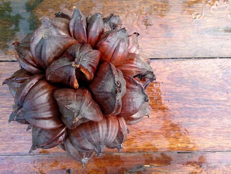Nypa palm seed, Nypa, Atap palm, Nipa palm, Mangrove palm, Nypa fruticans Wurmb on wood tableの写真素材