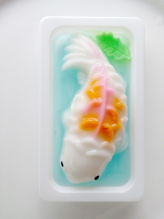 homemade coconut milk jelly fishの写真素材