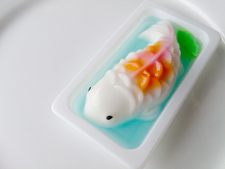 homemade coconut milk jelly fishの写真素材