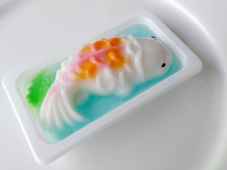 homemade coconut milk jelly fishの写真素材