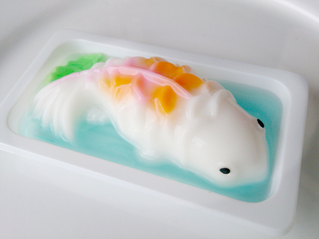homemade coconut milk jelly fishの写真素材