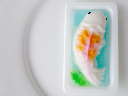 homemade coconut milk jelly fishの写真素材