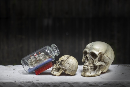 Skull with Ship in a Bottle / Still life styleの写真素材
