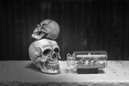Skull with Ship in a Bottle / Still life styleの写真素材