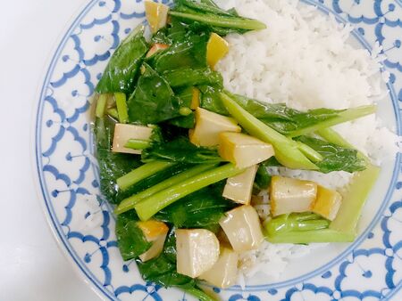Fried tofu with Chinese broccoli &  thai jasmine rice,  Vegetarian Food, healthy foodの写真素材