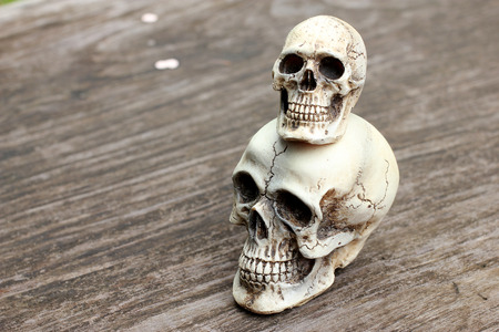 Human skull on old wood background in nature , still lifeの写真素材