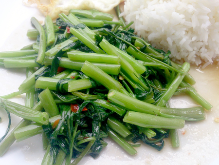 Food Thai in Asian, Stir Fried Water Spinach with rice on white plate,  Vegetarian Food, healthy foodの写真素材