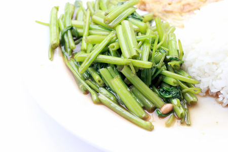Stir-Fried Chinese Morning Glory, Water Spinach, Tumis Kangkung, stir fried morning glory .phad puk boong fri dang. thai food.の写真素材