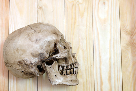 human skull on wooden background, top-viewの写真素材