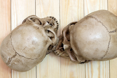 human skull on wooden background, top-viewの写真素材