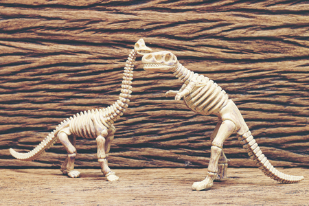 dinosaur bones on wooden background.の写真素材