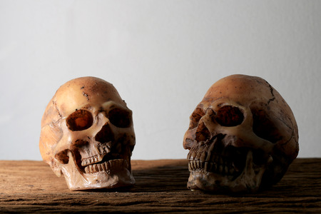 Still life photography with human skull on wooden table with background.の写真素材