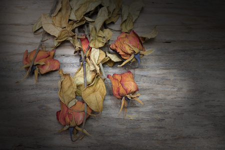 Vintage still life photography with dried flower of rose shown on the old beautiful wooden background of stained plank.の写真素材