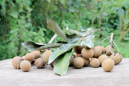 Longan Fresh. A bunch of Longan and Peel on a wooden background with green natural background in the...