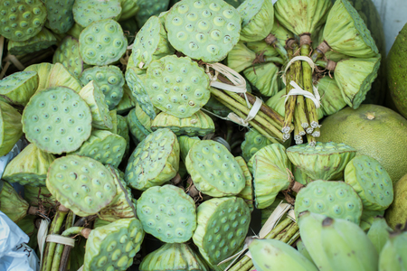 Fresh Green lotus seed pod are bind of group for sale at Thai street local market. still light photography styleの写真素材