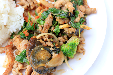 Stir-fried basil leave with minced pork, chicken, fried preserved egg and carrot, yellow corn, Broccoli with rice and fried egg in white dish on white background. Thai style food.の写真素材