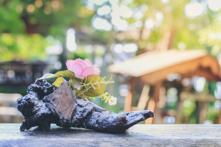 flower or pink rose on timber tree wood with copy space and blurred nature environment background at home in the morning and sun light in Valentine's Day, Wedding or Romantic Love Valentine conceptの写真素材