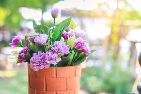 beautiful flower or plant in a pot with nature environment background at home in the morning and sun light with copy space in Valentine's Day, Wedding or Romantic Love conceptの写真素材