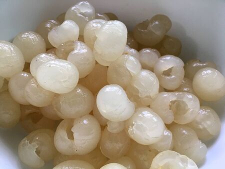 Fresh Longan, Dimocarpus longan meat was removed from longan bark in a white blow, Thai fruit. cooking concept.の写真素材