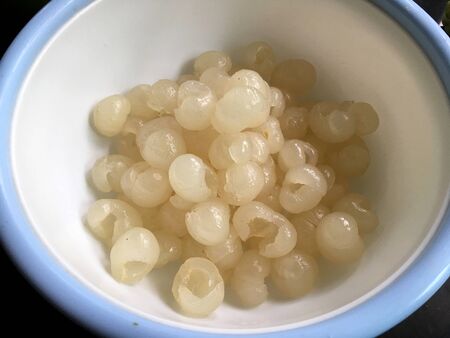 Fresh Longan, Dimocarpus longan meat was removed from longan bark in a white blow, Thai fruit. cooking concept.の写真素材