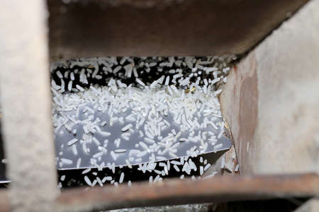 Brown rice flowing from old wooden rice milling machine during work. Organic milled rice processing local industry equipment in Thailand.の写真素材