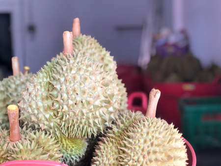 Durian fruit is placed in a red basket for sale to the buyer in fruit market,Thailand. Durian that is known as the king of fruits of Thailand.の写真素材