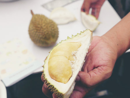 The Asian vendor is peeling the durian, which has yellow flesh and is quite fresh. Handle the durian and show the flesh for consumption. Fruit of the tropics, king of fruits from Thailand.の写真素材
