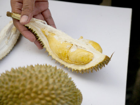 The Asian vendor is peeling the durian, which has yellow flesh and is quite fresh. Handle the durian and show the flesh for consumption. Fruit of the tropics, king of fruits from Thailand.の写真素材