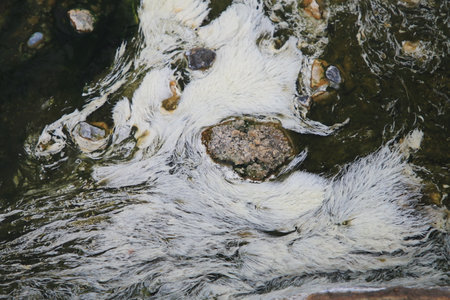 Algae in Hot Springs and fog in Chae Son National Park, Lampang, Thailand, Natural Mineral Water.