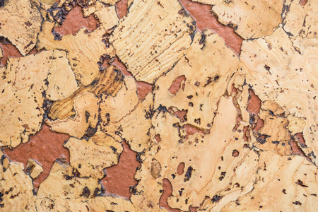 Texture of cork board wood surface, natural wooden decorative panel, abstract backgroundの写真素材
