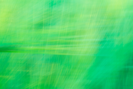 Blurred green abstract background with a predominance of lines based on a plantの写真素材