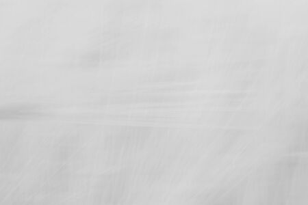 Blurred gray abstract background with a predominance of lines based on a plantの写真素材