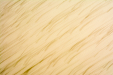 Blurred texture yellow polyester foam consisting of white and black balls, motion effect, abstract backgroundの写真素材
