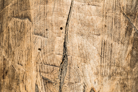 wood texture very old oak, the rough wood is not uniform, contains cracks and has been subjected to long-term exploitationの写真素材
