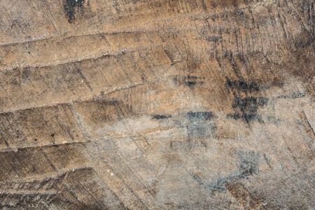 wood texture very old oak, the rough wood is not uniform, contains cracks and has been subjected to...