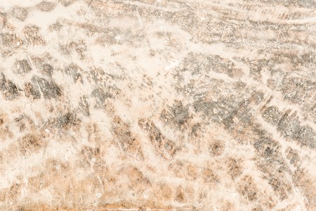 wood bleached texture very old oak, the rough wood is not uniform, contains cracks and has been subjected to long-term exploitationの写真素材