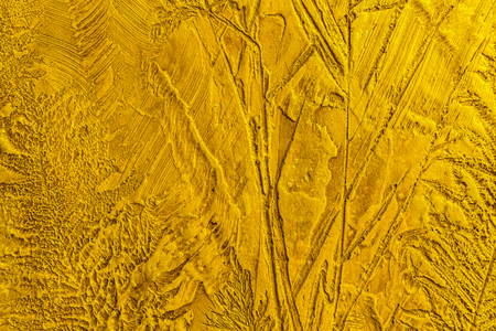 Golden Art Wall Texture, relief decorative plaster with an imprint of various plantsの写真素材