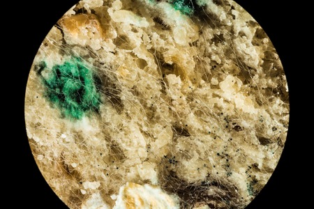 spread of green fungal mold on spoiled food products, macro view through a microscopeの写真素材