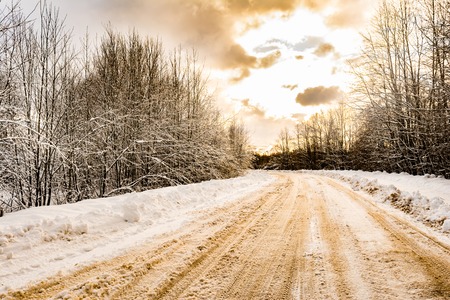a rural snowy road with snowdrifts on the roadside, tree branches covered with snow caps, a winter...
