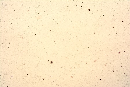 colorful abstract background with blurry small grain elementsの写真素材
